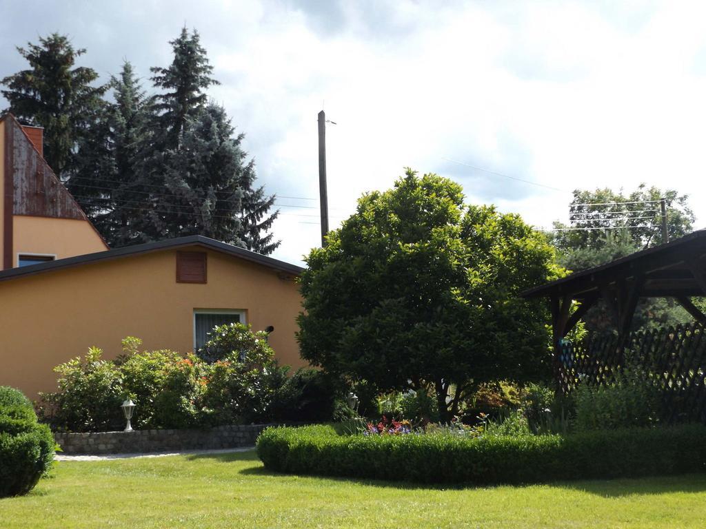 Cosy Apartment With In Pirna With Private Terrace Εξωτερικό φωτογραφία